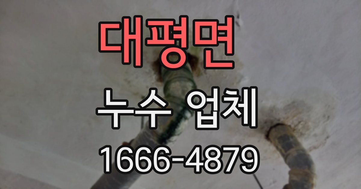 대평면 누수 업체