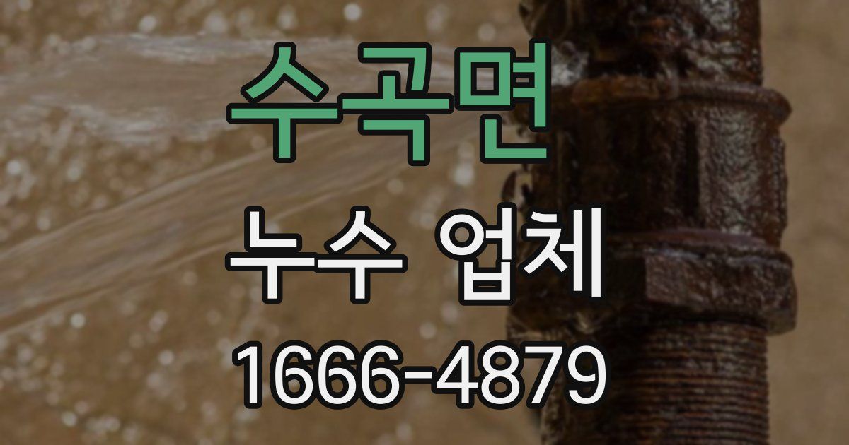 수곡면 누수 업체