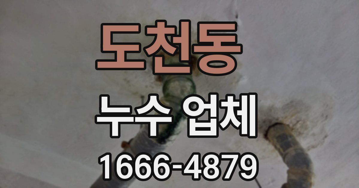 도천동 누수 업체