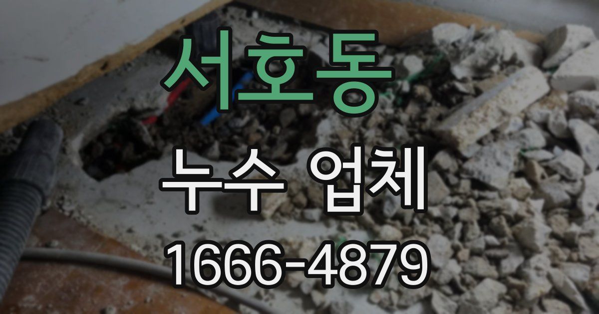 서호동 누수 업체