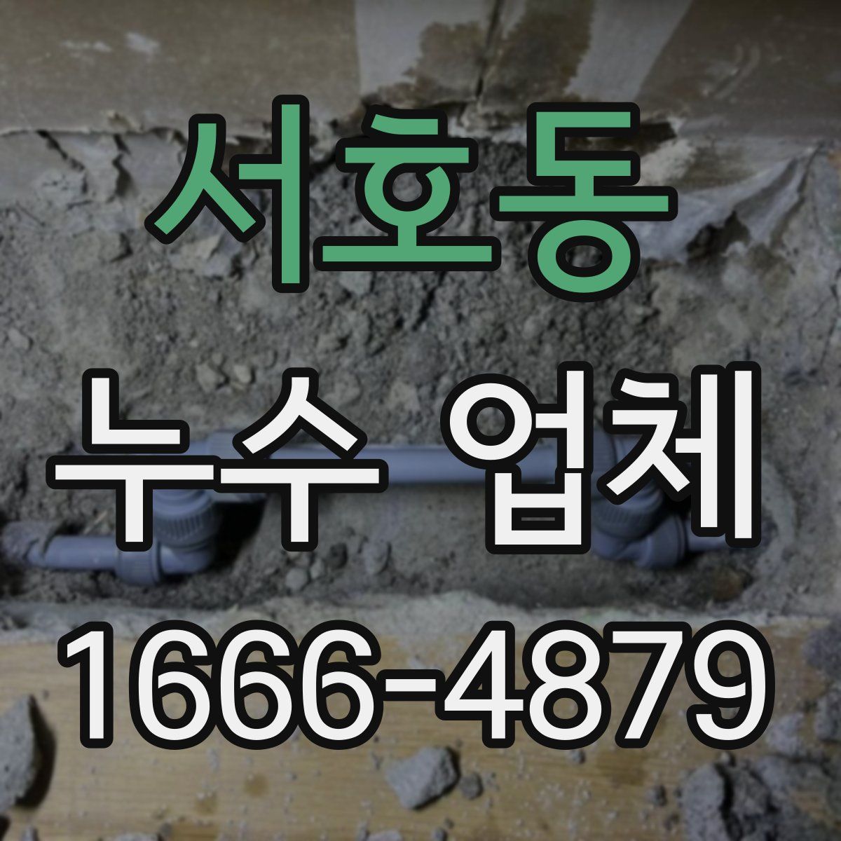 서호동 누수 업체