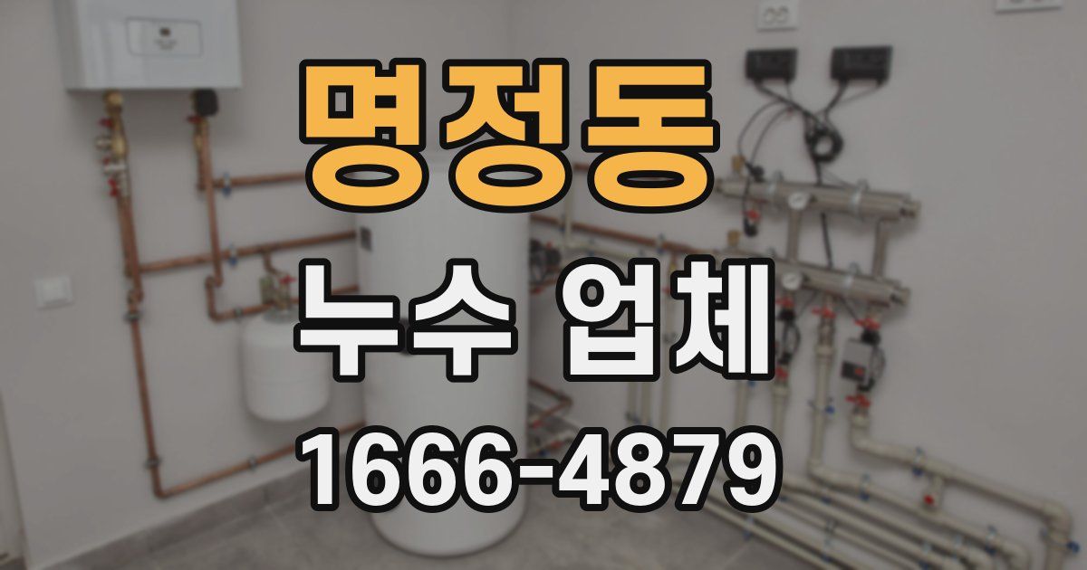 명정동 누수 업체