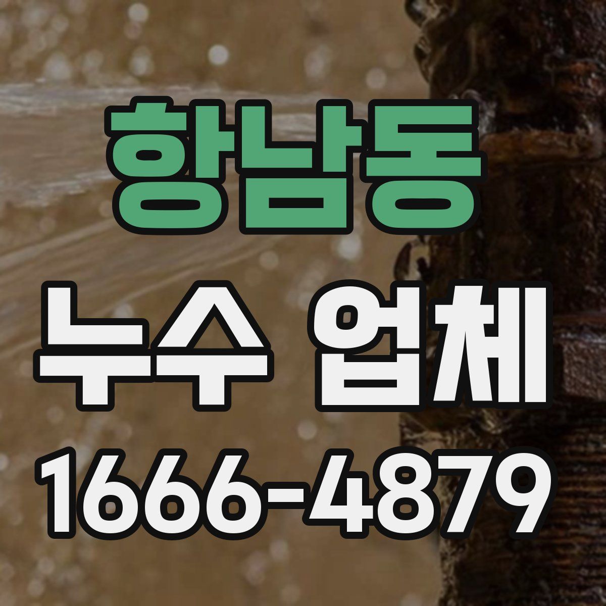 항남동 누수 업체
