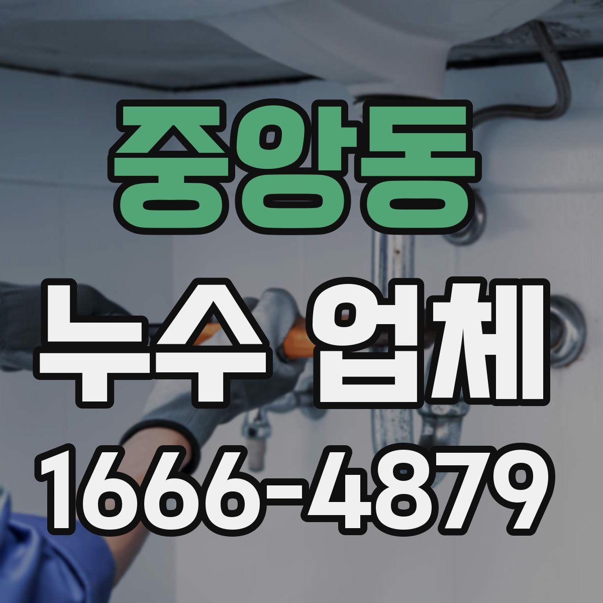 중앙동 누수 업체