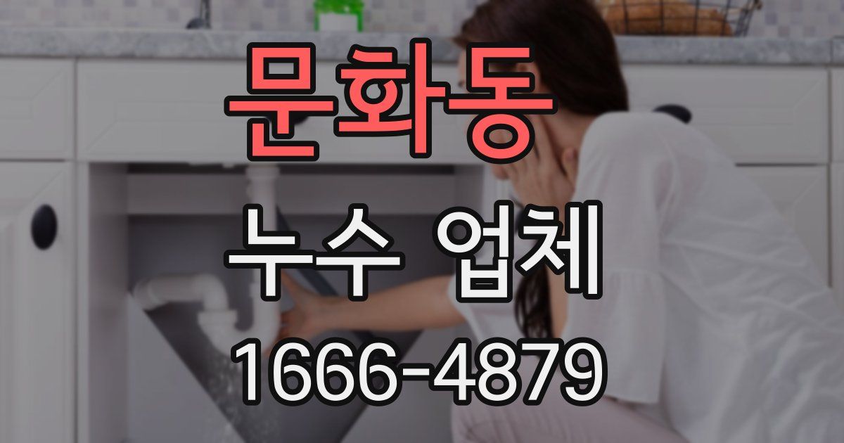문화동 누수 업체