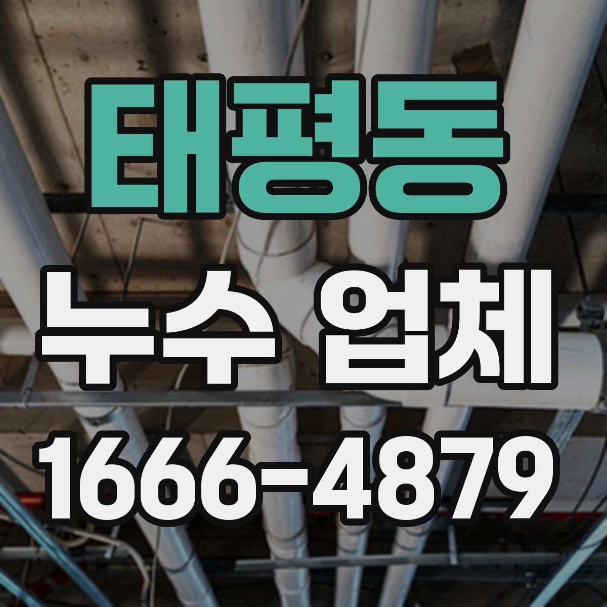 태평동 누수 업체