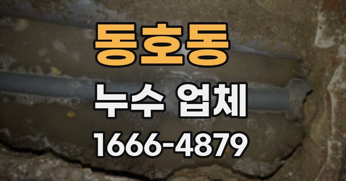 동호동 누수 업체