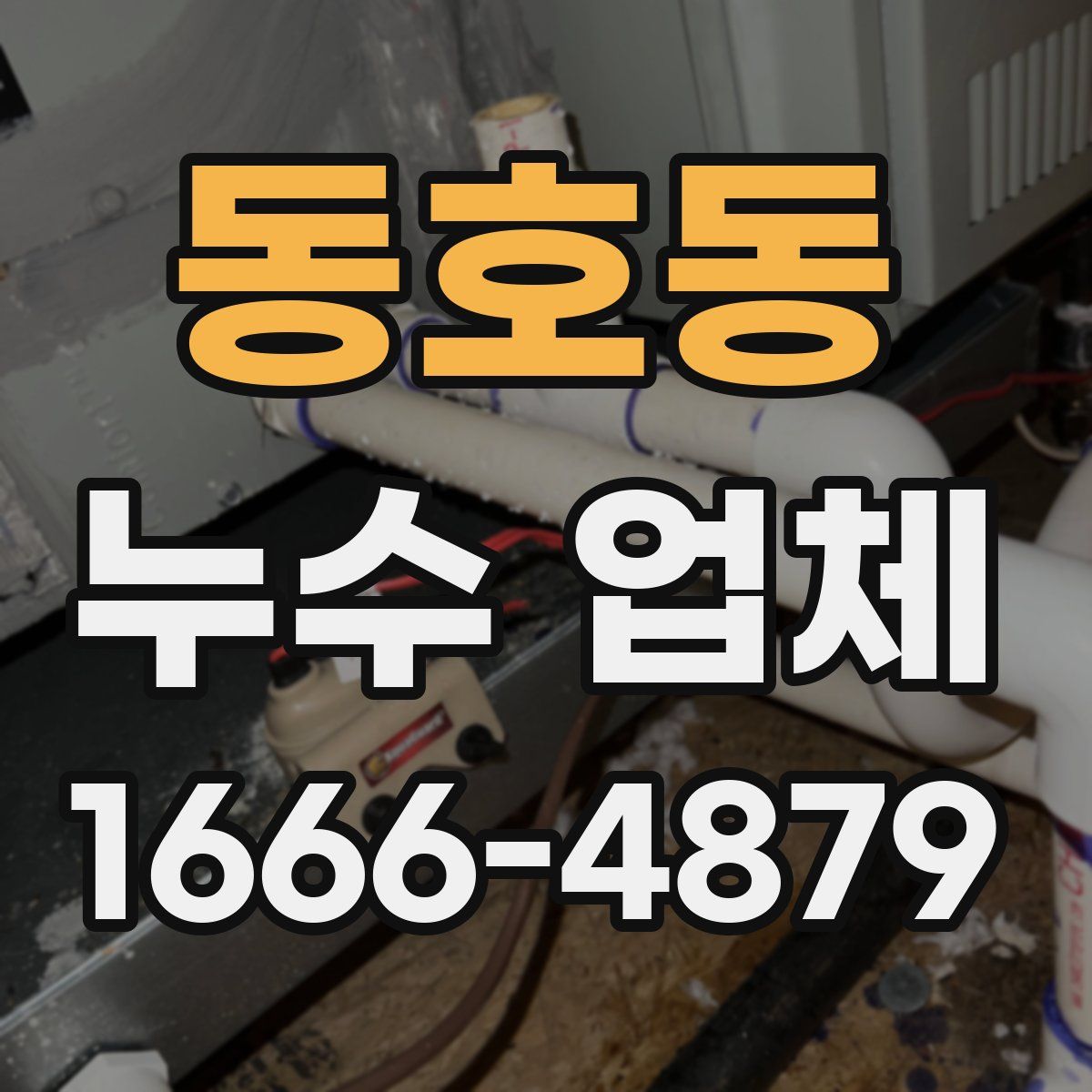 동호동 누수 업체