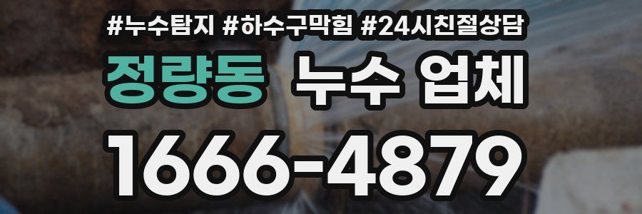정량동 누수 업체