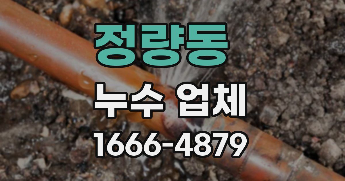 정량동 누수 업체