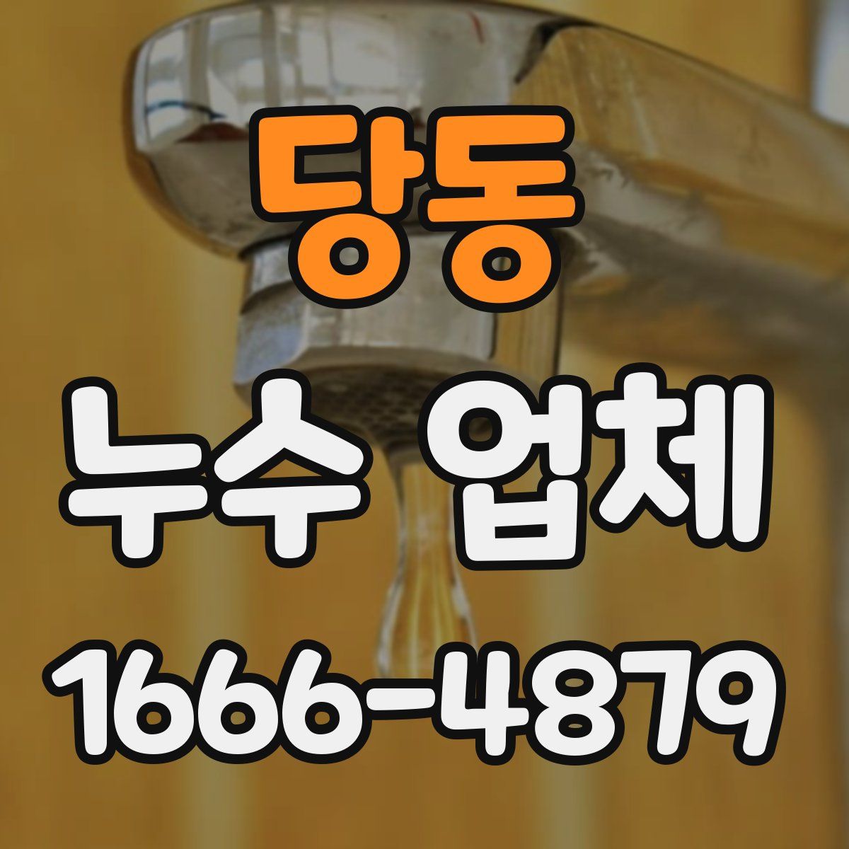 당동 누수 업체