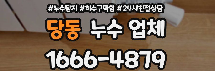 당동 누수 업체