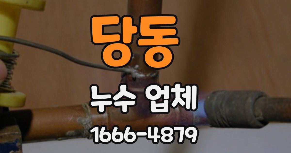 당동 누수 업체