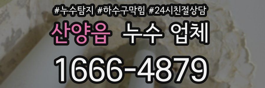 산양읍 누수 업체