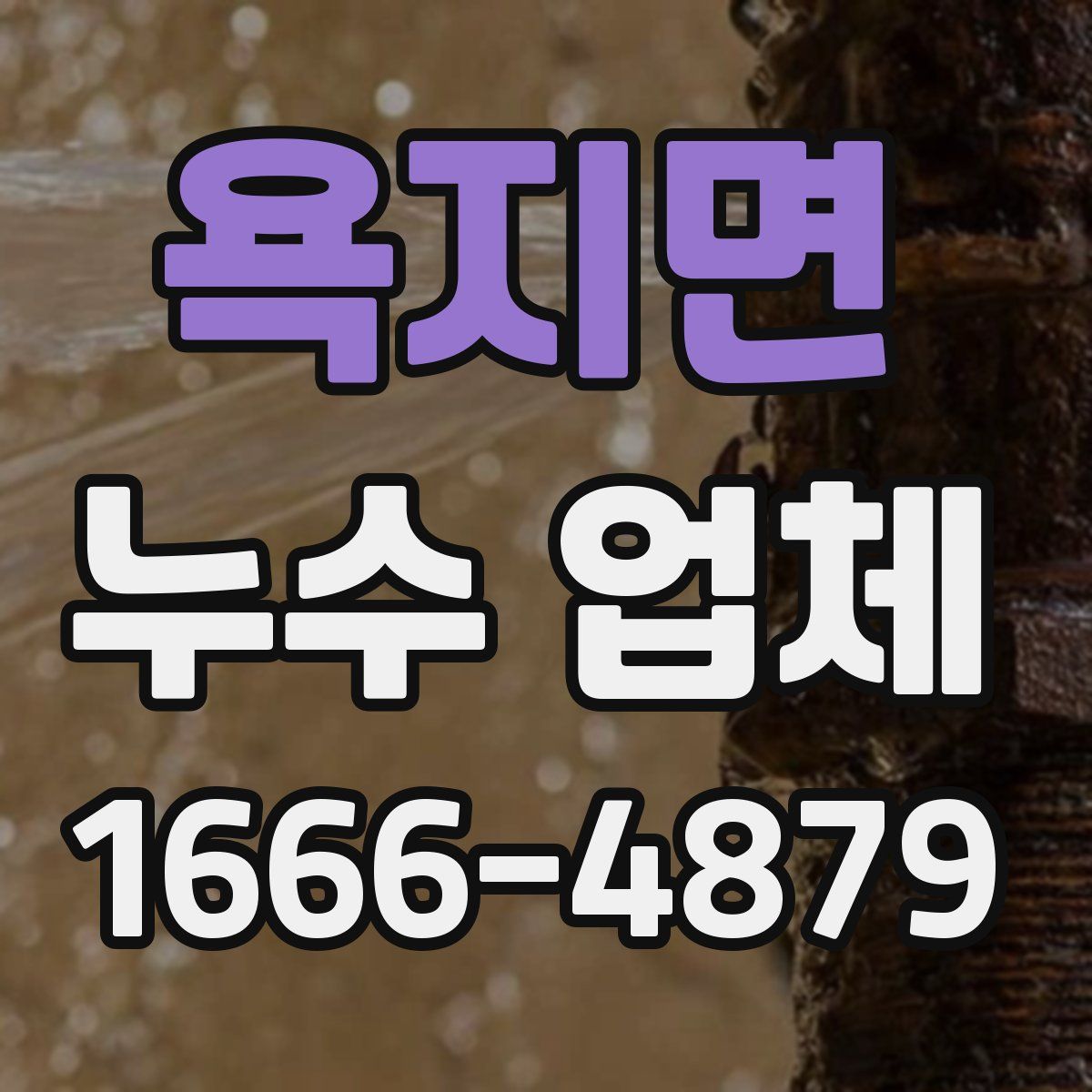 욕지면 누수 업체
