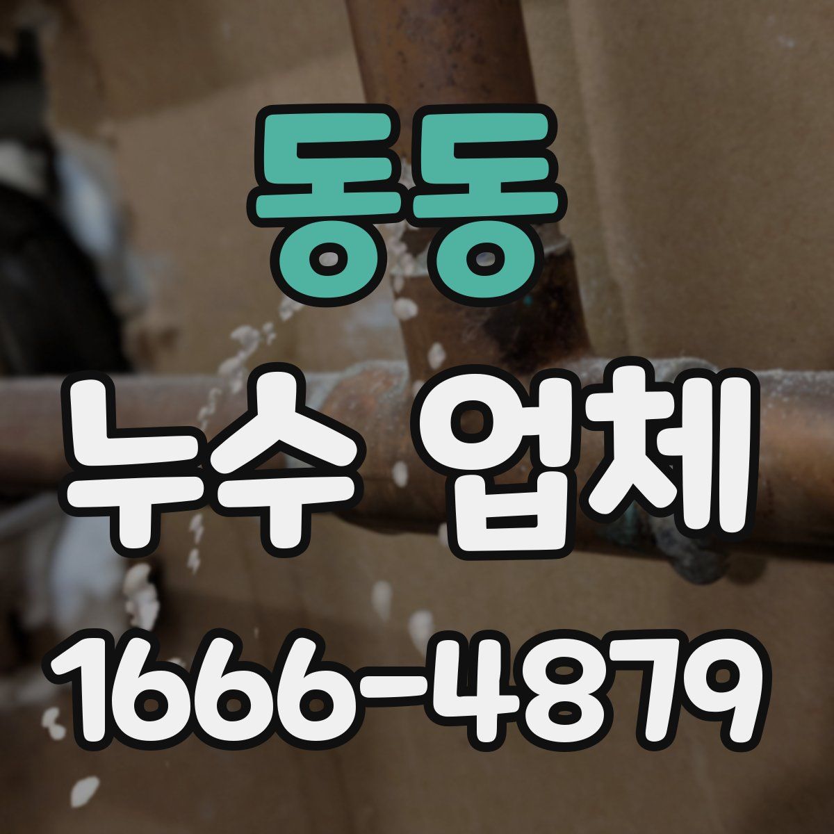 동동 누수 업체