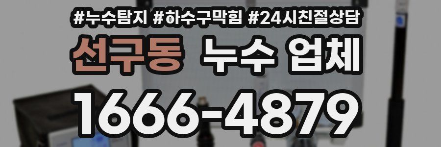 선구동 누수 업체