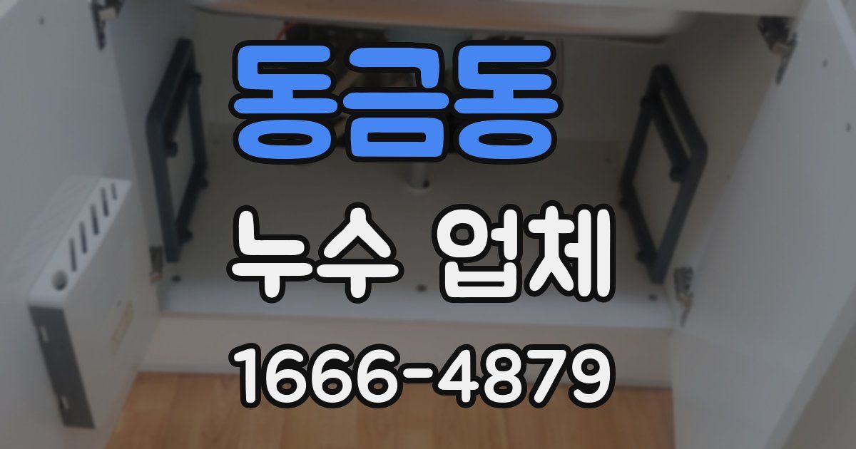 동금동 누수 업체