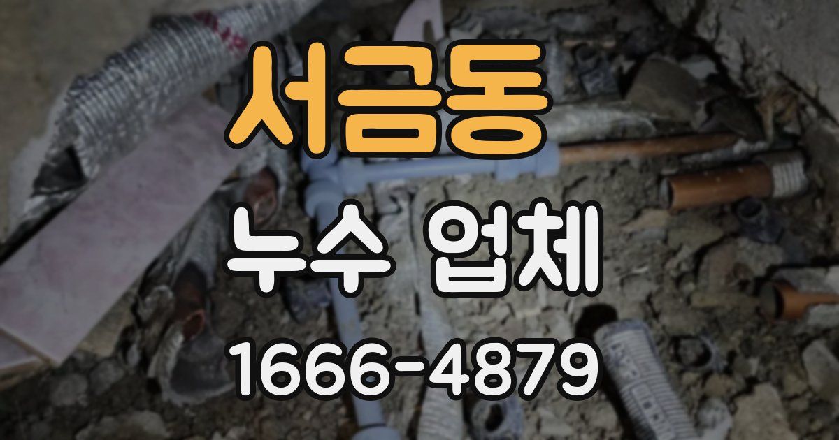 서금동 누수 업체