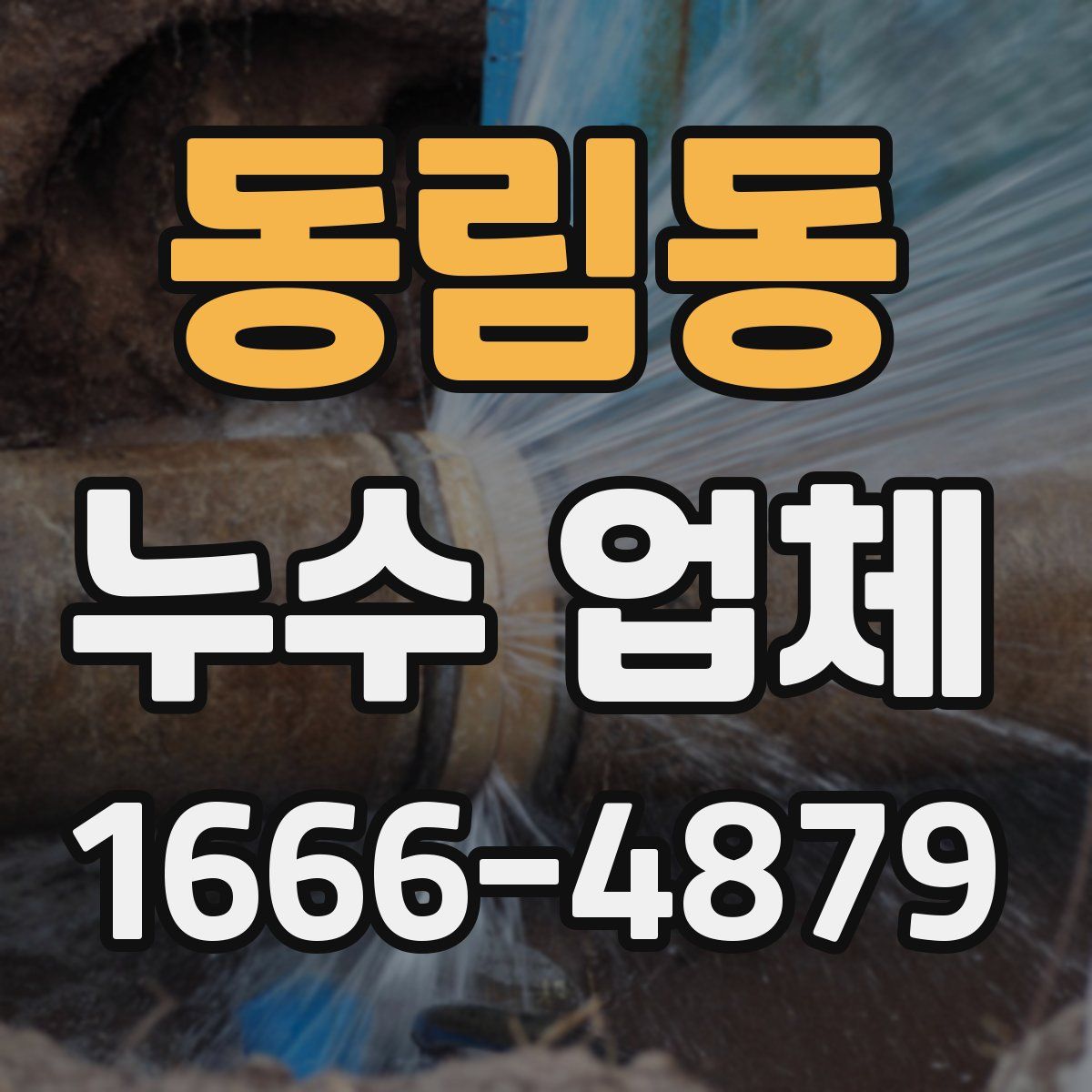 동림동 누수 업체