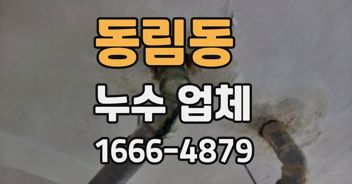 동림동 누수 업체