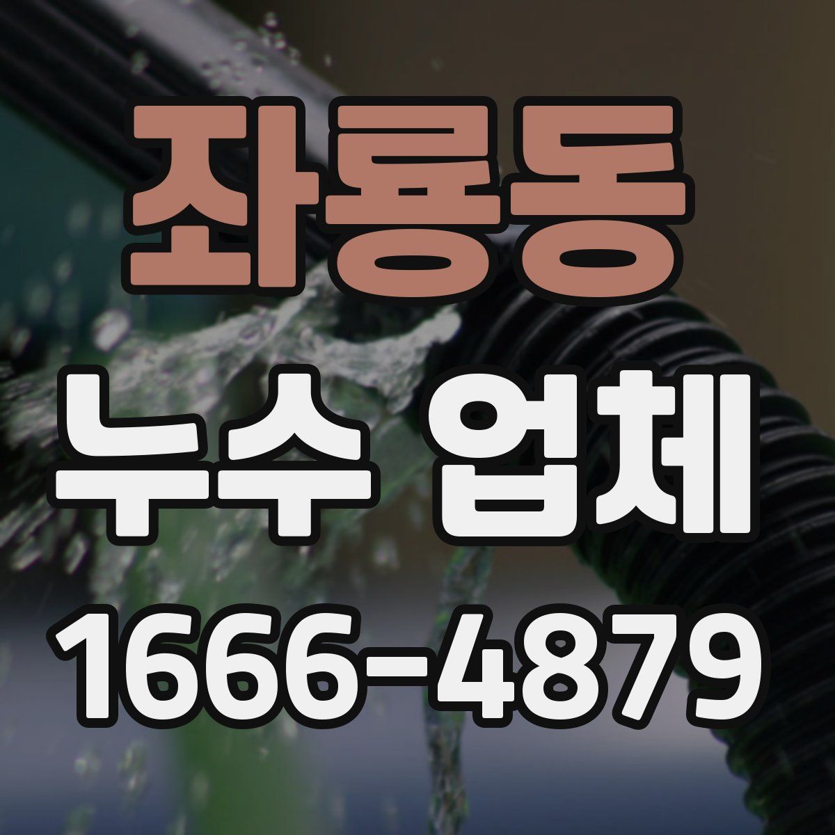 좌룡동 누수 업체
