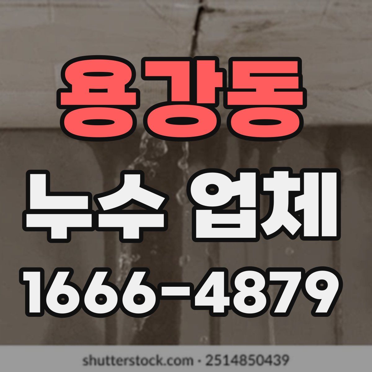 용강동 누수 업체
