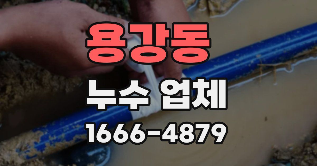 용강동 누수 업체