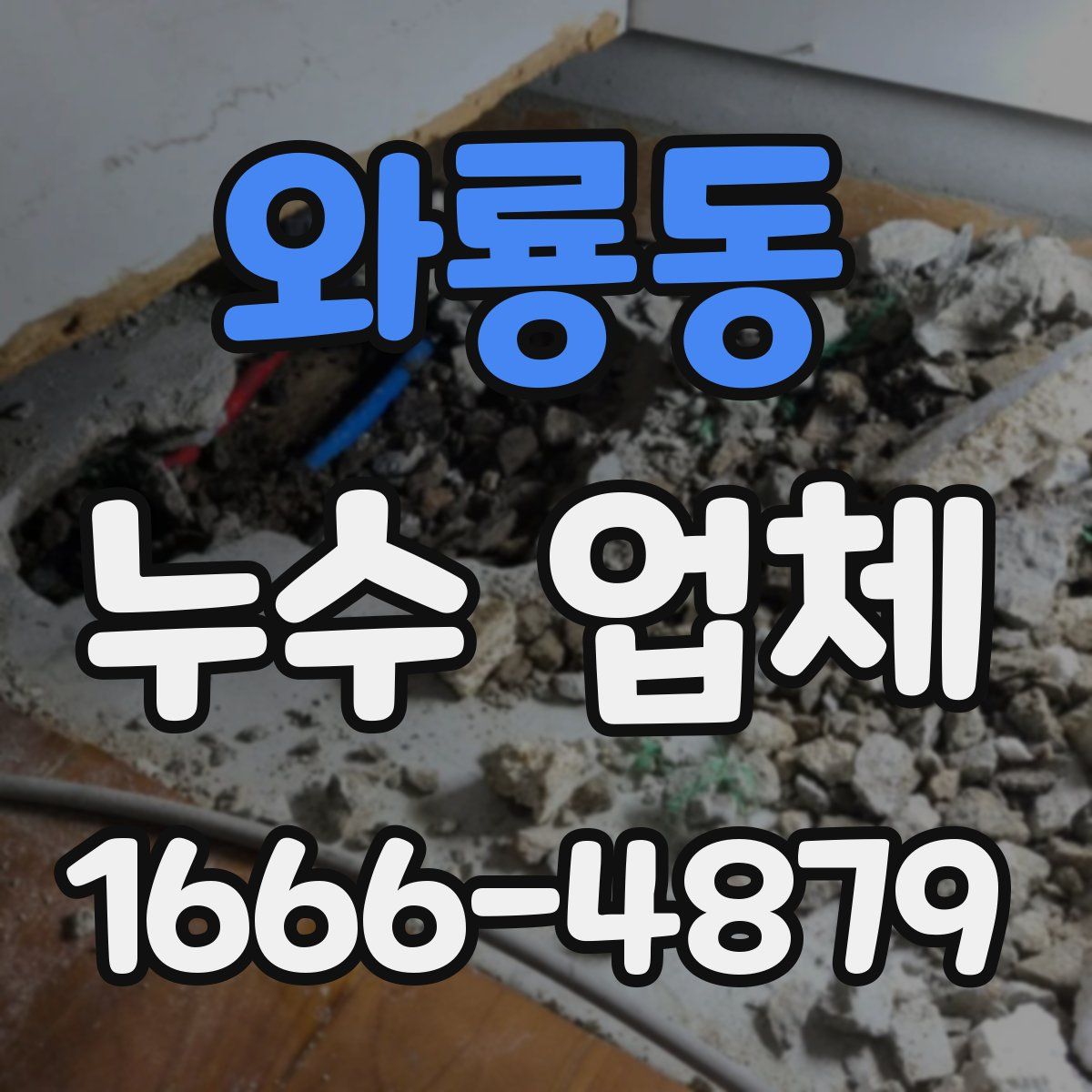 와룡동 누수 업체
