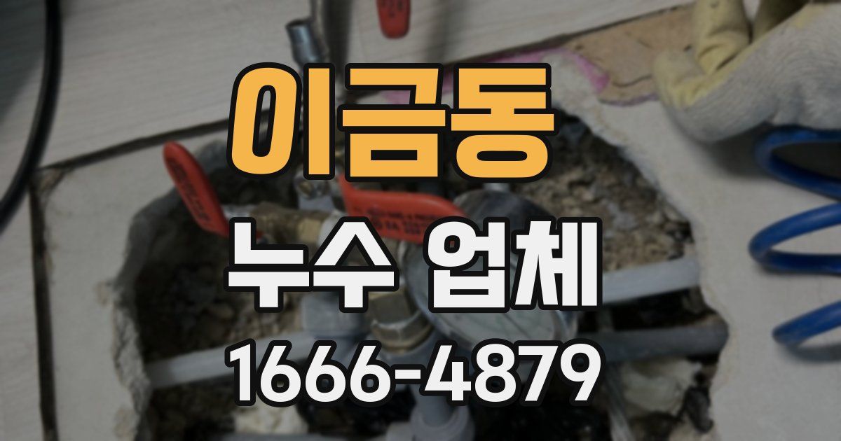 이금동 누수 업체