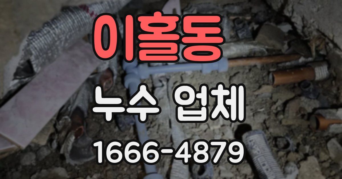 이홀동 누수 업체