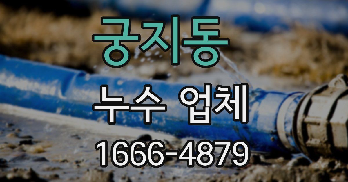 궁지동 누수 업체