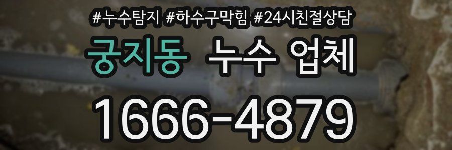 궁지동 누수 업체
