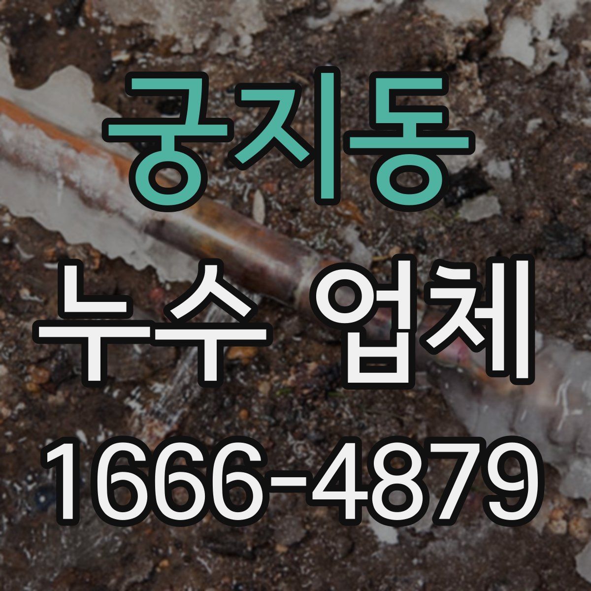 궁지동 누수 업체
