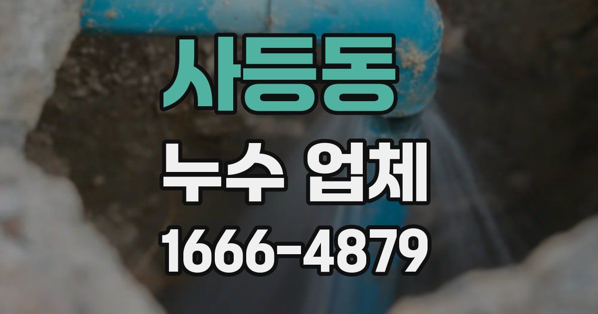 사등동 누수 업체