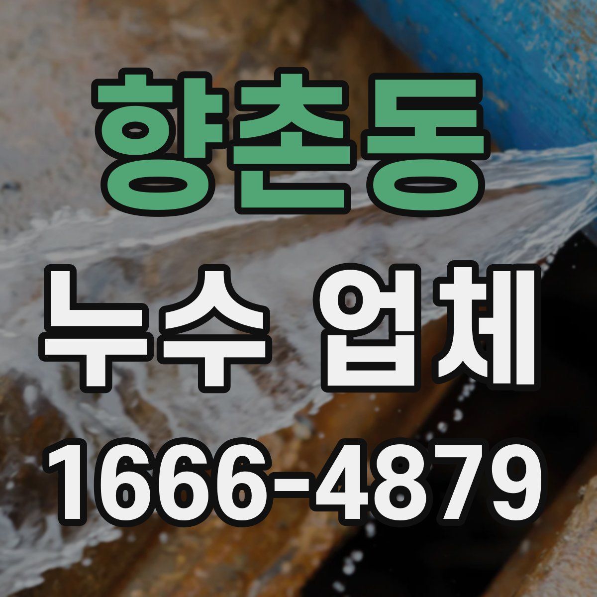 향촌동 누수 업체