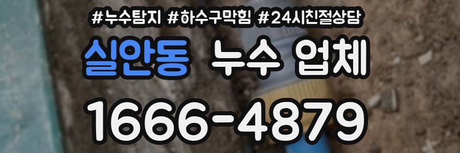 실안동 누수 업체