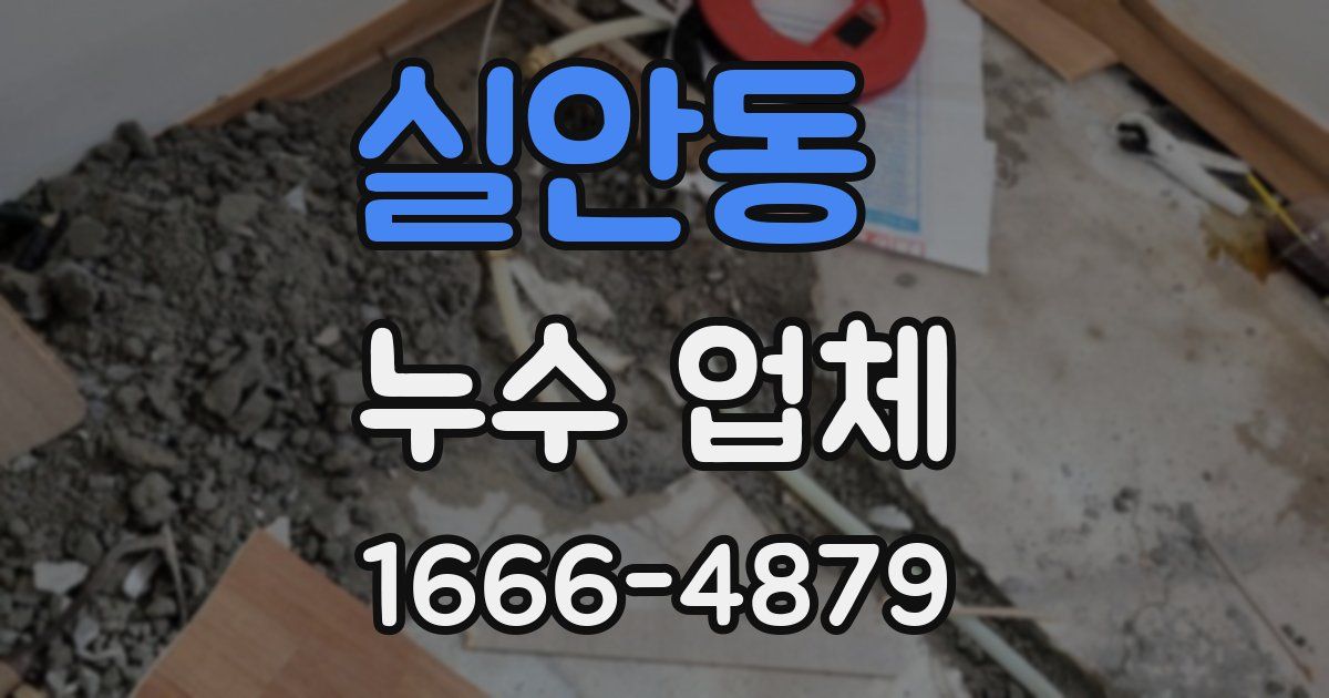 실안동 누수 업체