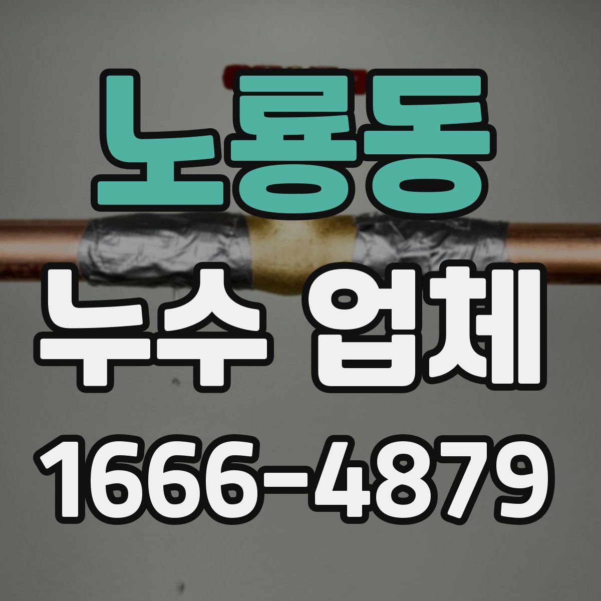 노룡동 누수 업체