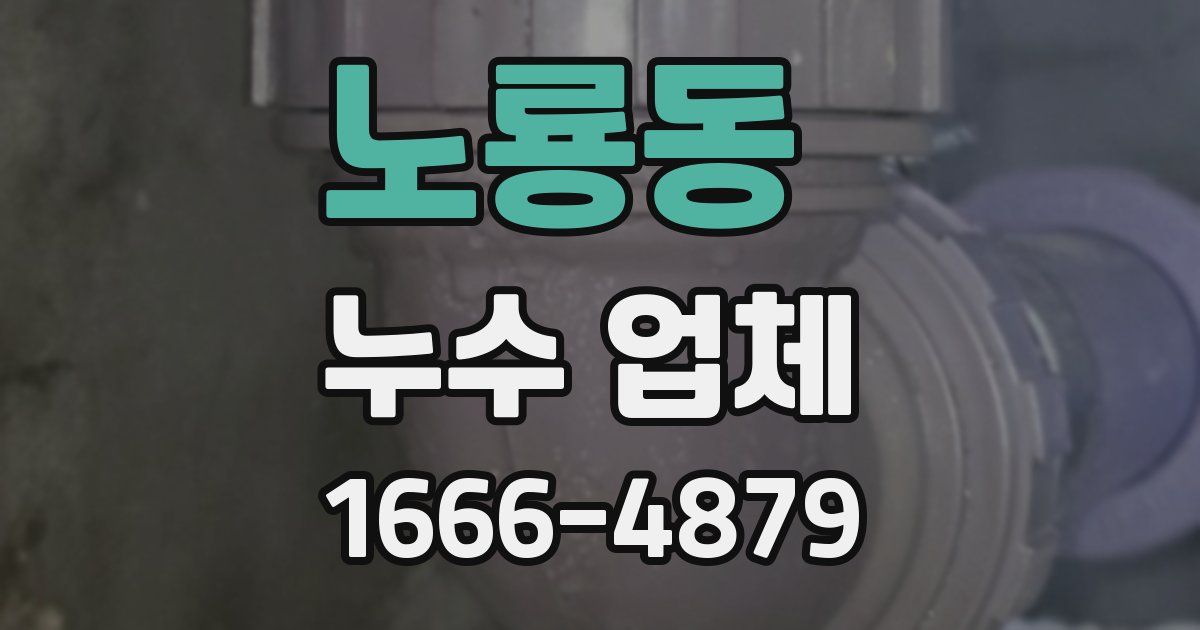 노룡동 누수 업체