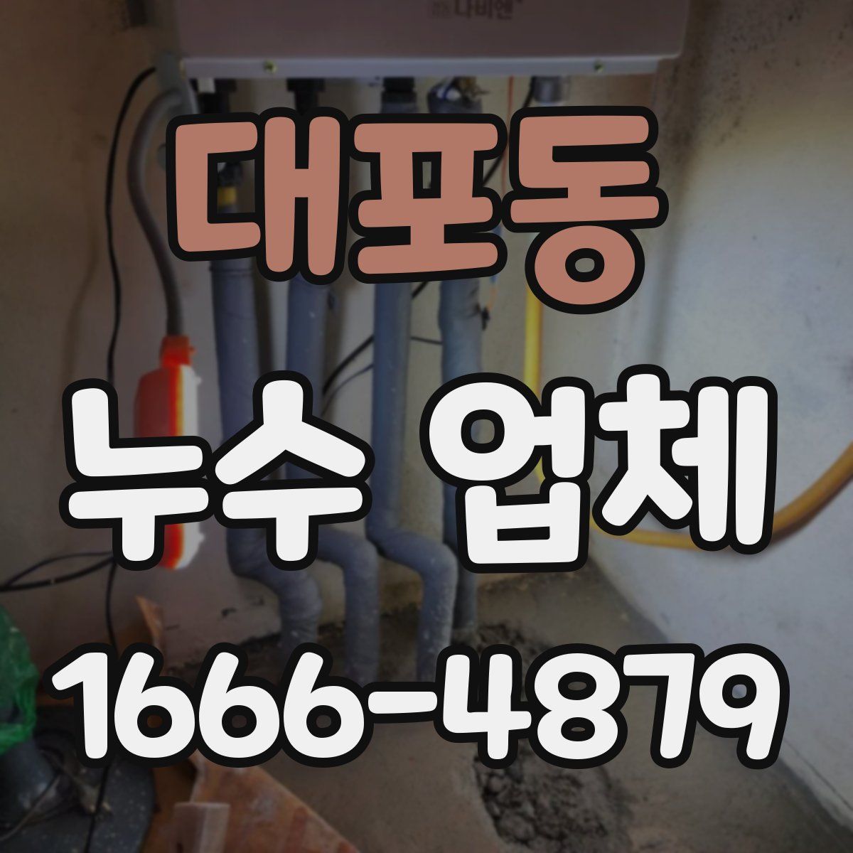 대포동 누수 업체