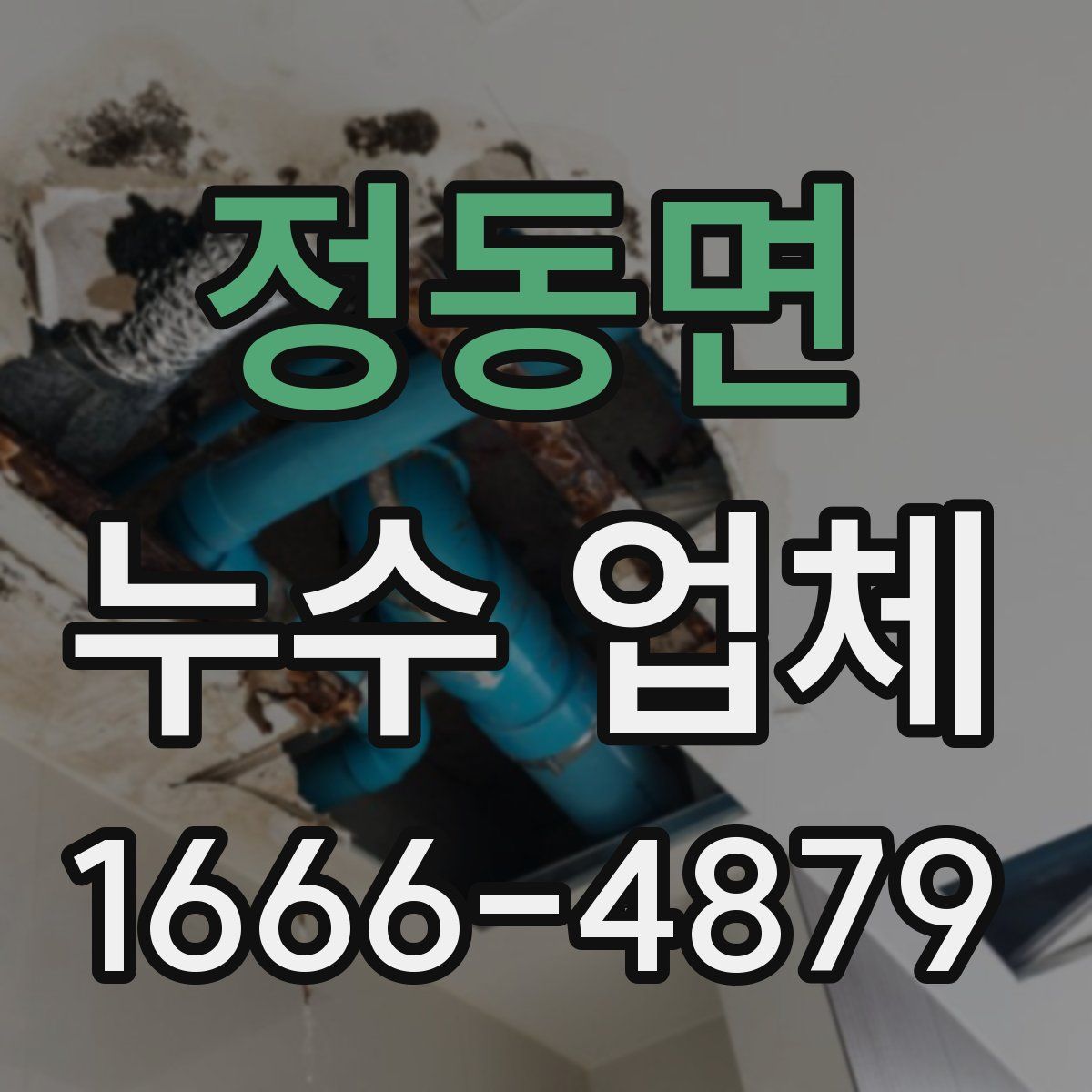 정동면 누수 업체