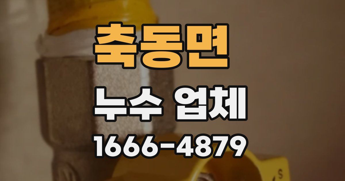 축동면 누수 업체
