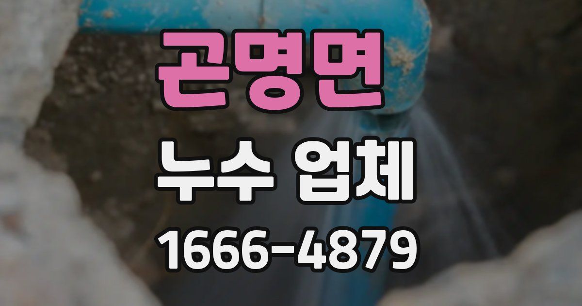 곤명면 누수 업체