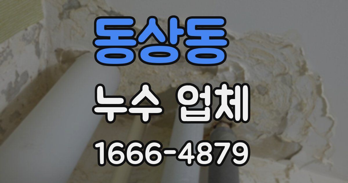 동상동 누수 업체