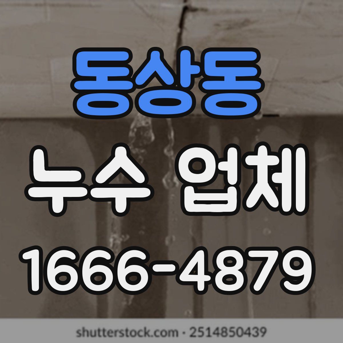 동상동 누수 업체