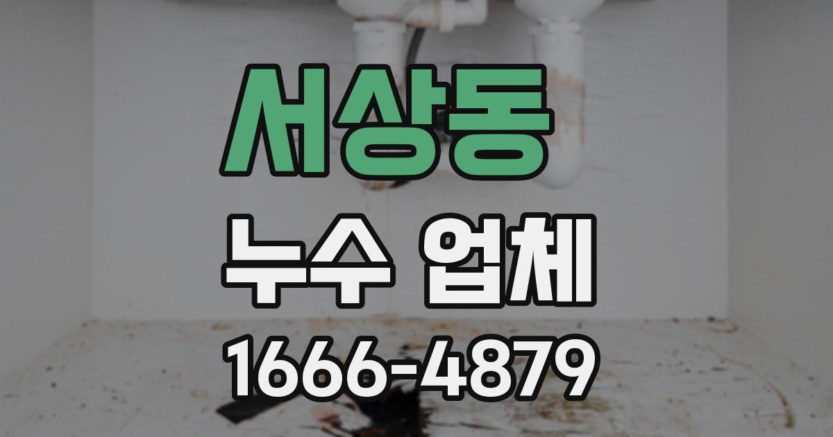 서상동 누수 업체