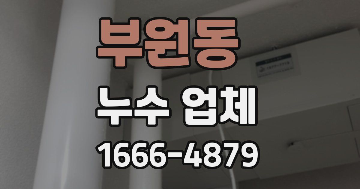 부원동 누수 업체