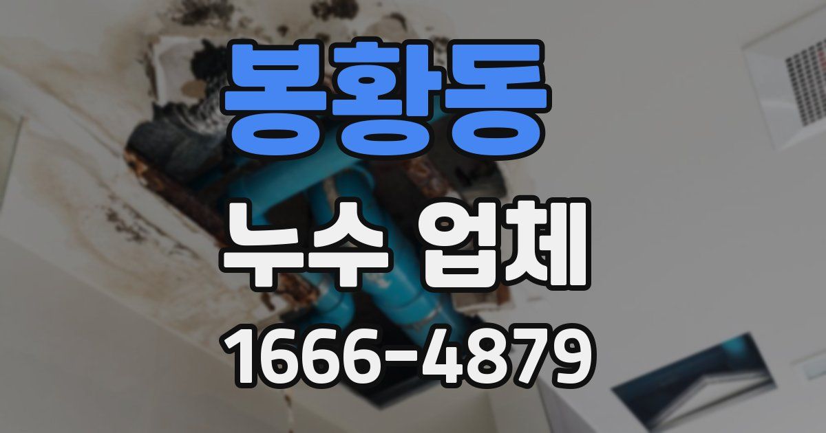 봉황동 누수 업체