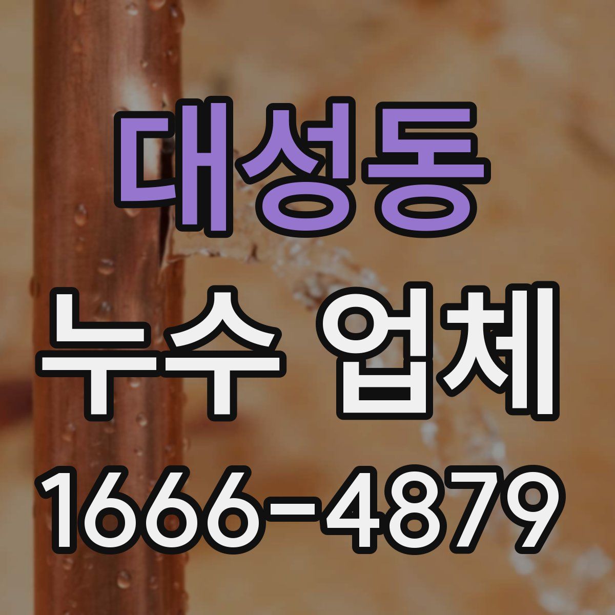 대성동 누수 업체